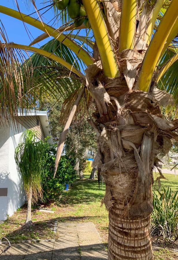 Quiet Venice Retreat With Private Lanai And Pool! Екстер'єр фото